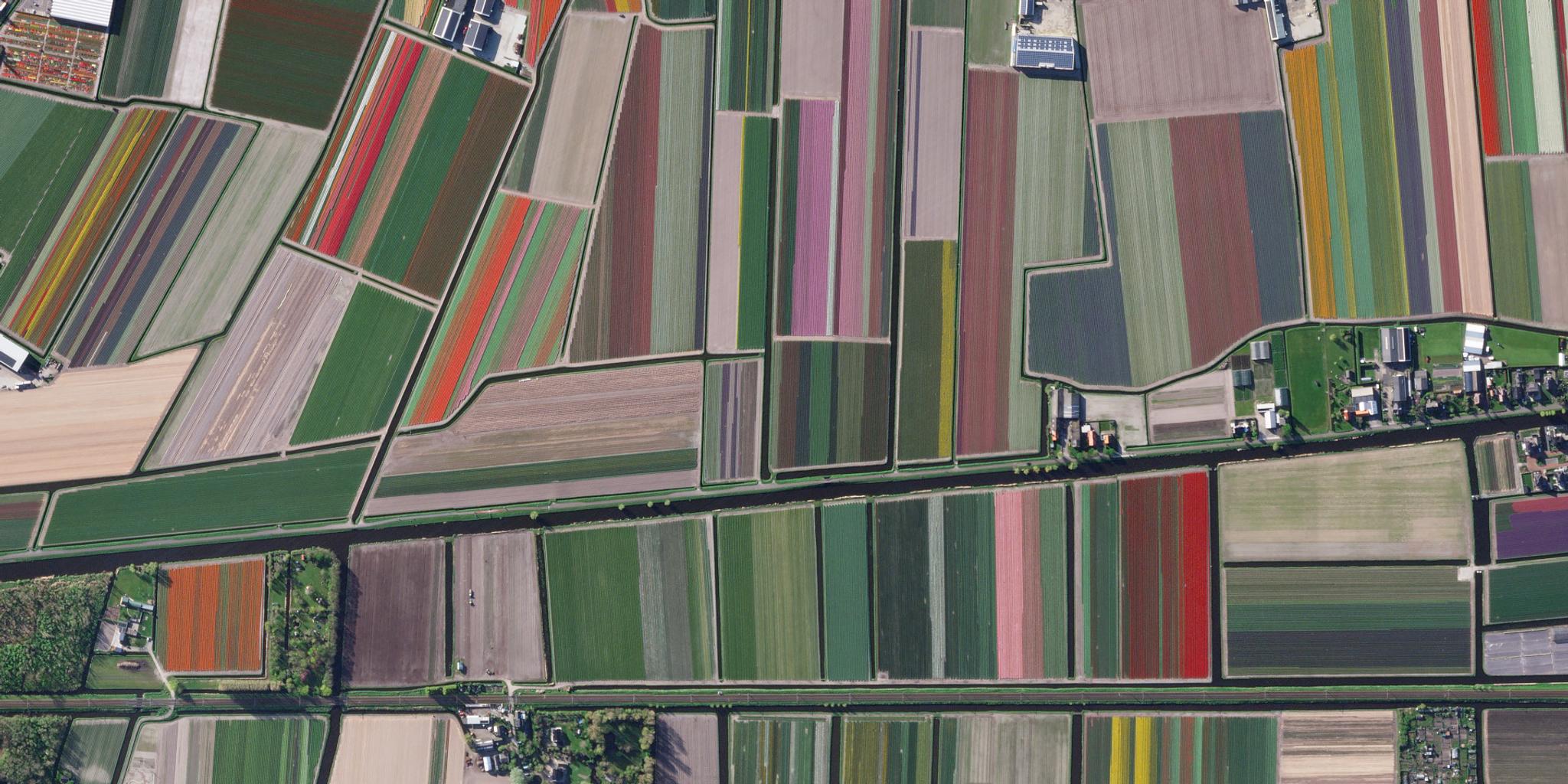 Planet image of fields in The Netherlands taken April 10, 2024. © 2024 Planet Labs PBC. All Rights Reserved.